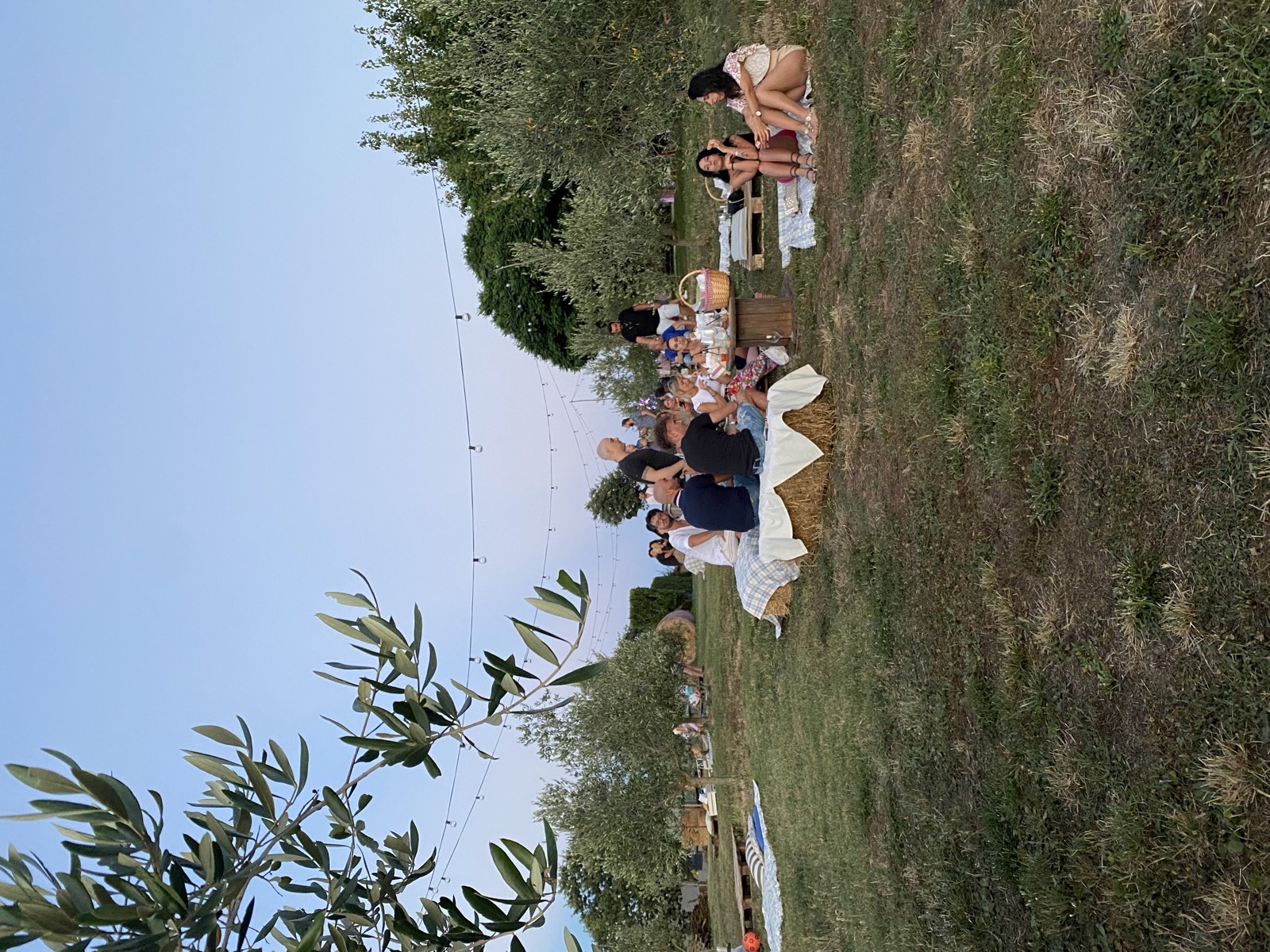 Tavoli dell'aperitivo allestiti al tramonto tra gli ulivi