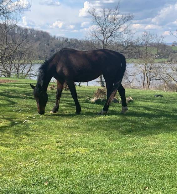 PHOTO-2025-11-06-12-31-01 4