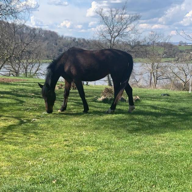 PHOTO-2025-11-06-12-31-01 4